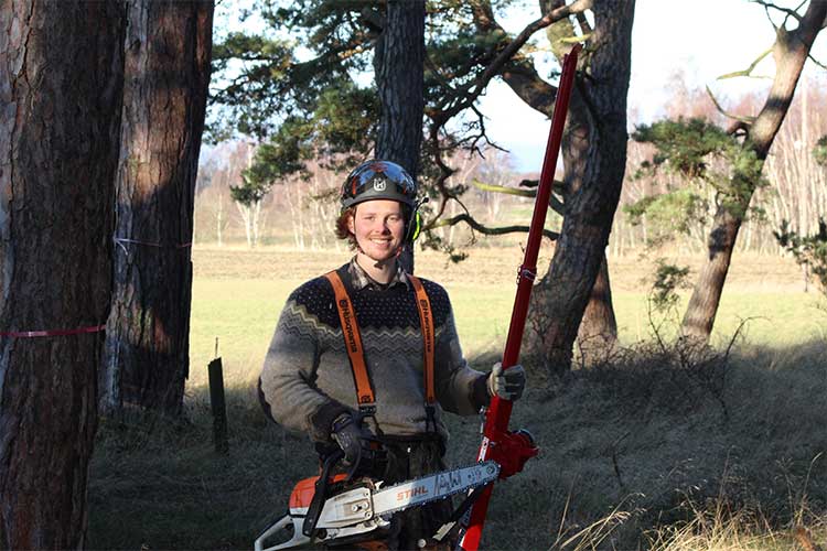 Trädfällning och beskärning av träd