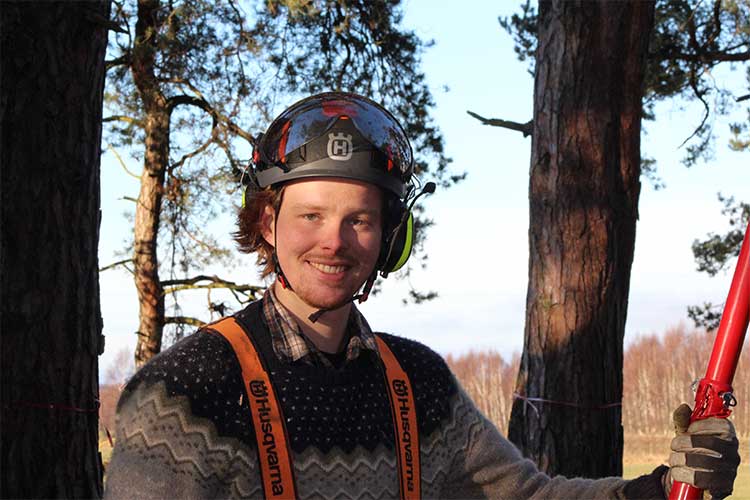 Trädfällning och beskärning av träd