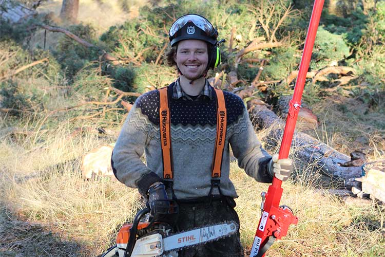 Trädfällning och beskärning av träd